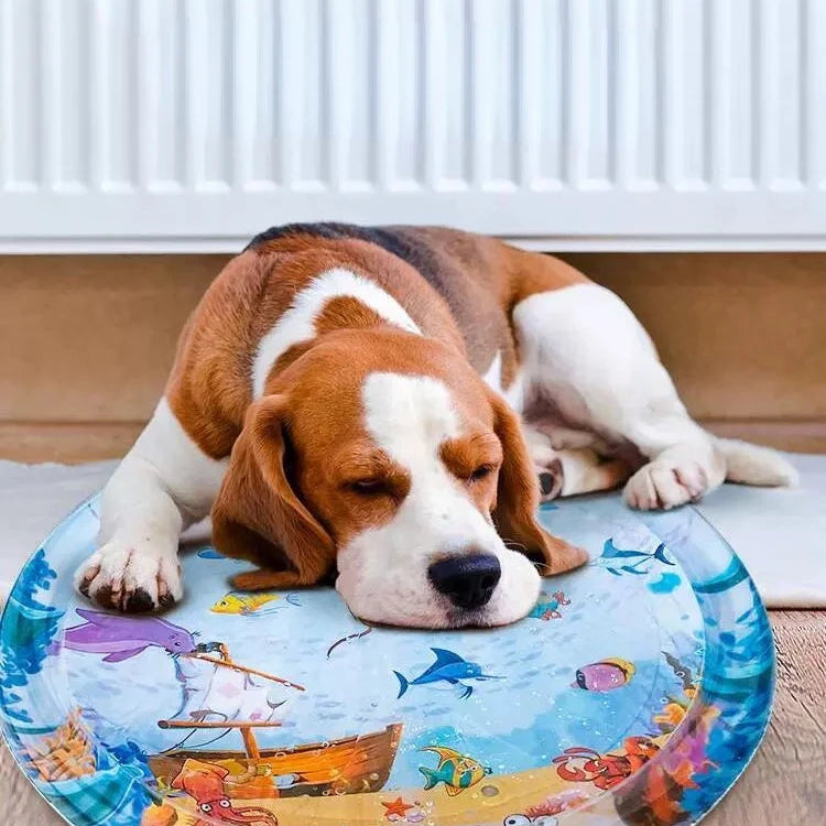 Pet Water Bed™