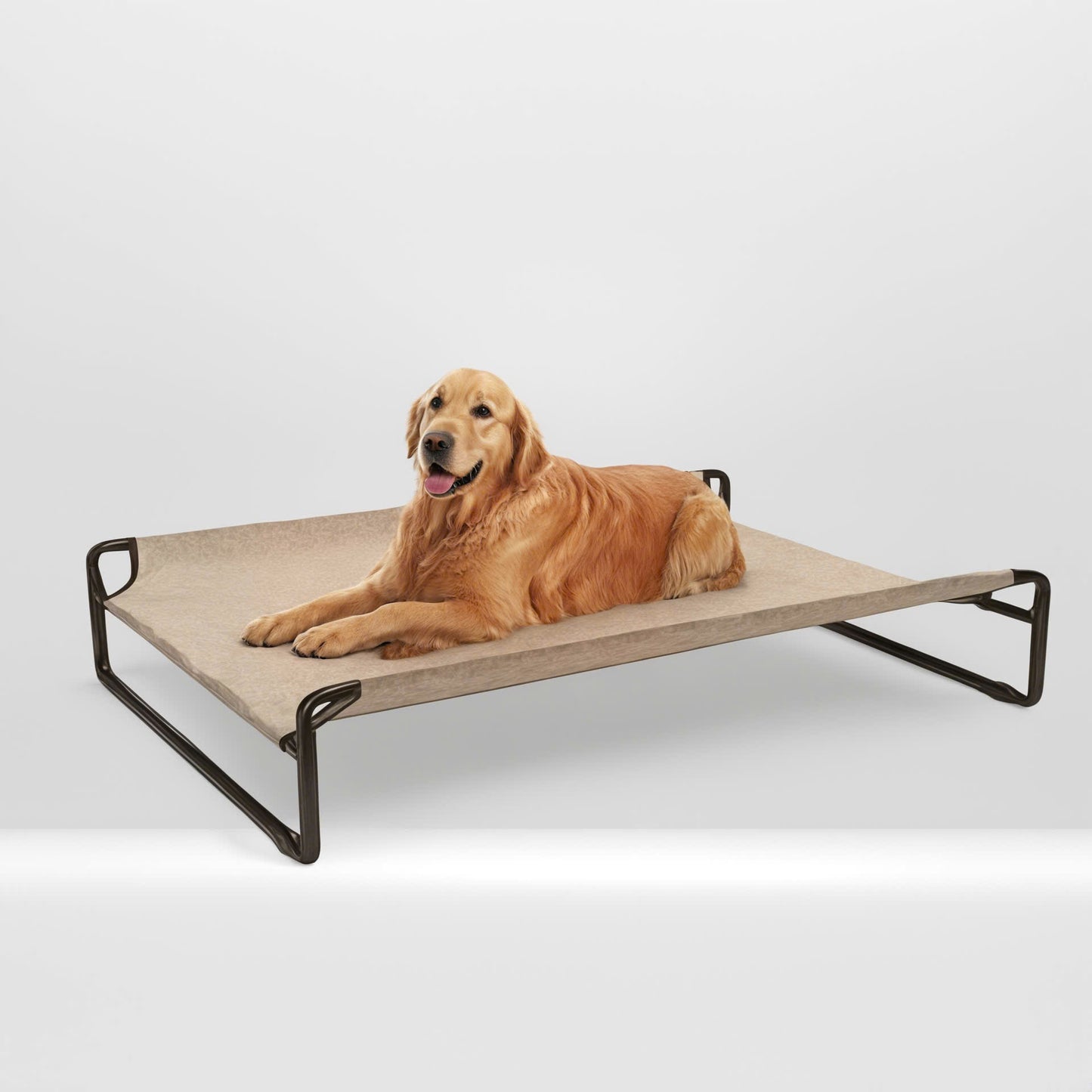 Elevated Dog Bed