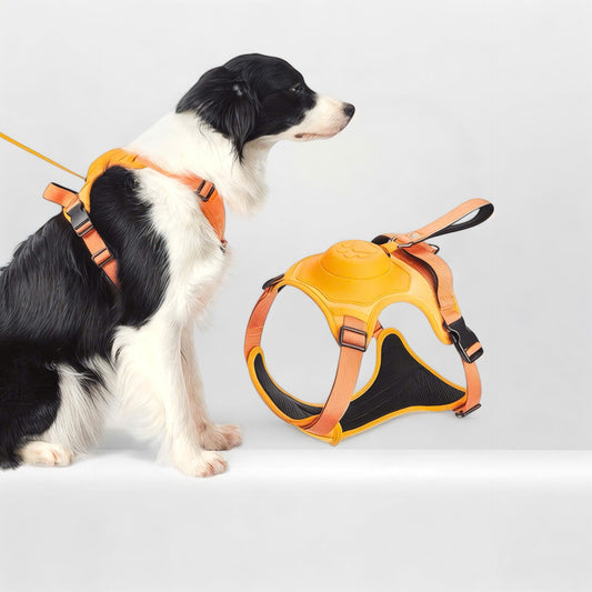 No Pull Adjustable Harness & Leash