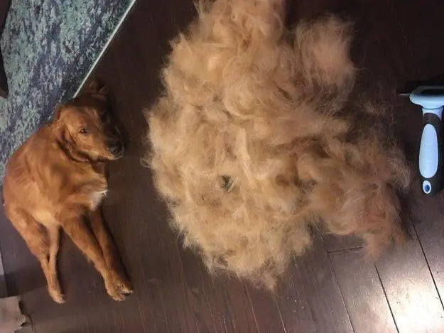 Deshedding Brush Pro™