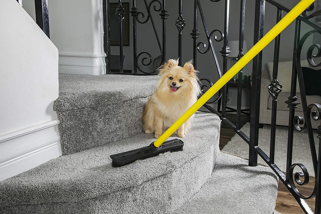 Pet Hair Removal Broom PuppyJoyful