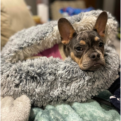 Calming Plush Dog Bed