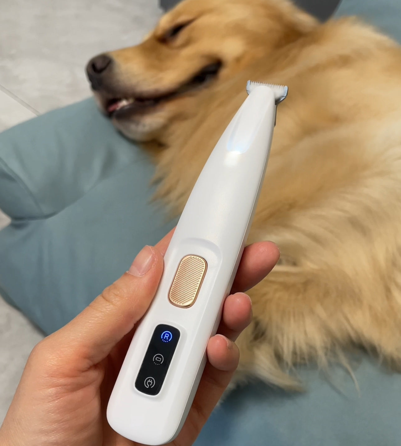 Pet Hair Trimmer™ PuppyJoyful