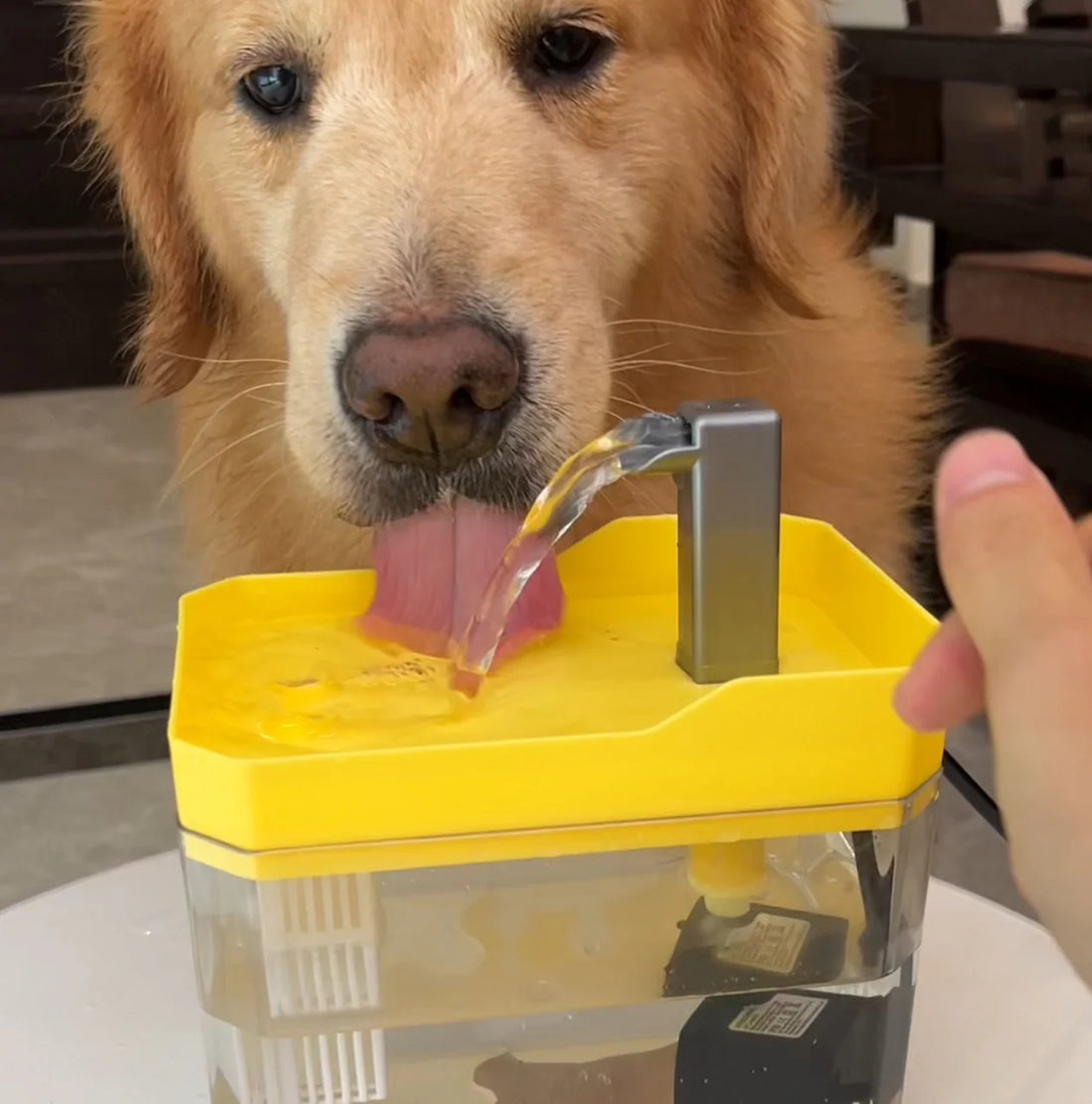 Pet Water Fountain™