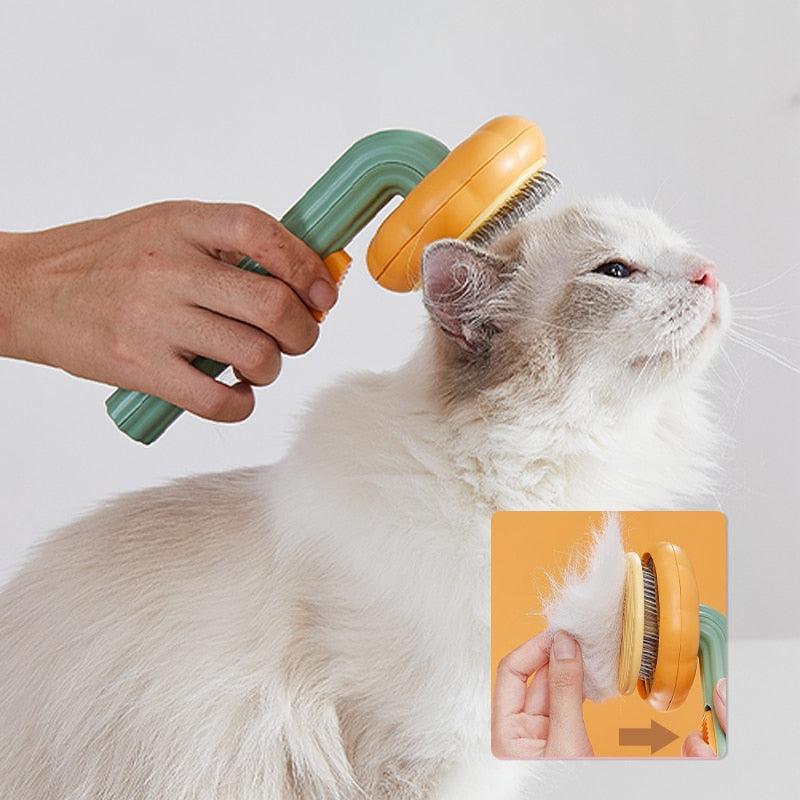 Self-Cleaning Pumpkin Brush