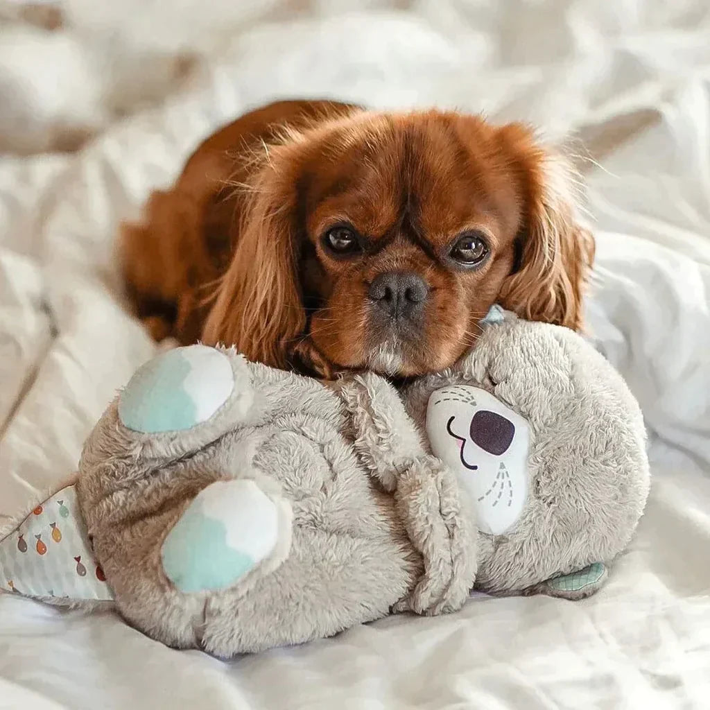 Calming Otter Plush