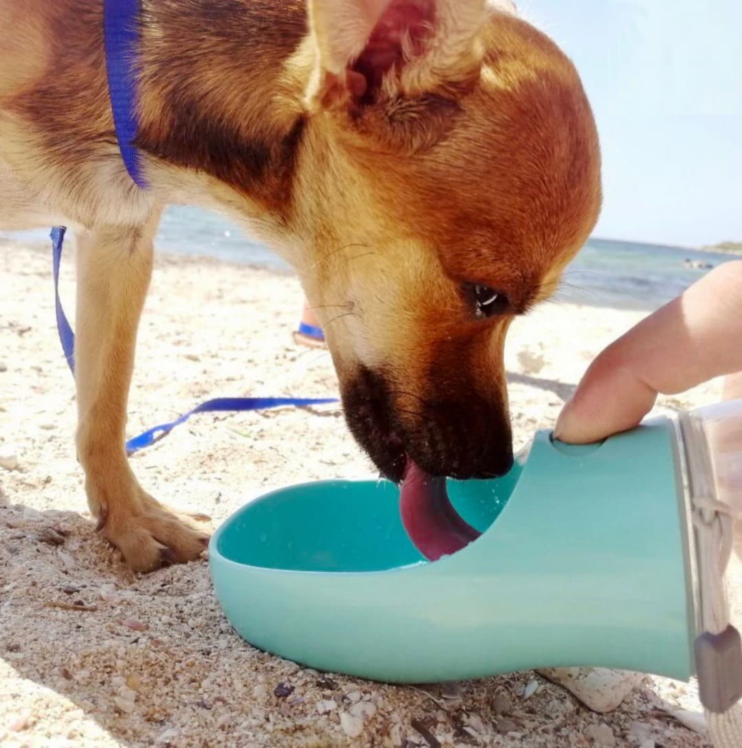 350ml/550ml Portable Dog Water Bottle Bowl Outdoor Walking Puppy Pet Travel Water Bottle Cat Drinking Bowl Dogs Supplies PuppyJoyful