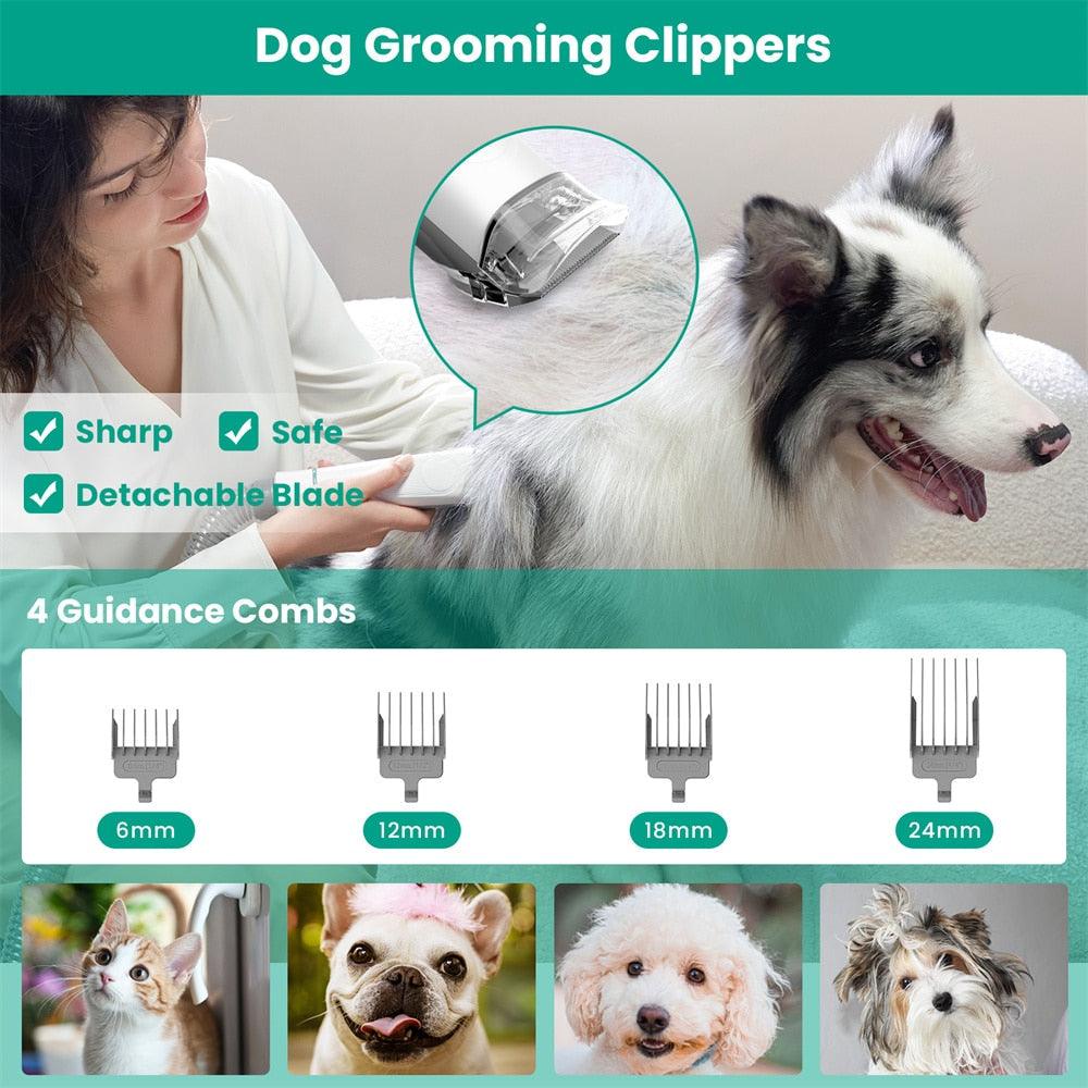 Professional Grooming Vacuum