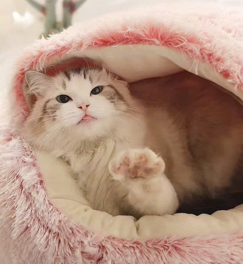 Calming Plush Cat Bed