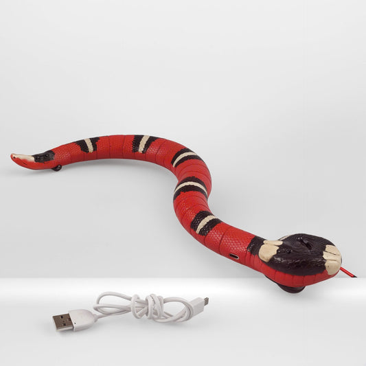 Smart Sensing Snake