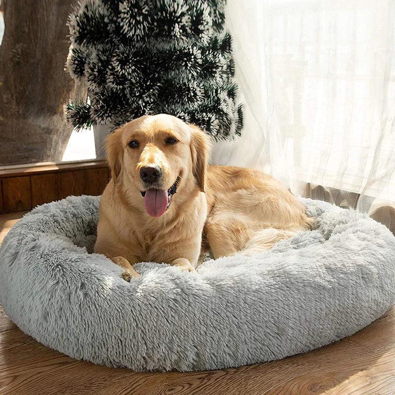 Calming Dog Bed