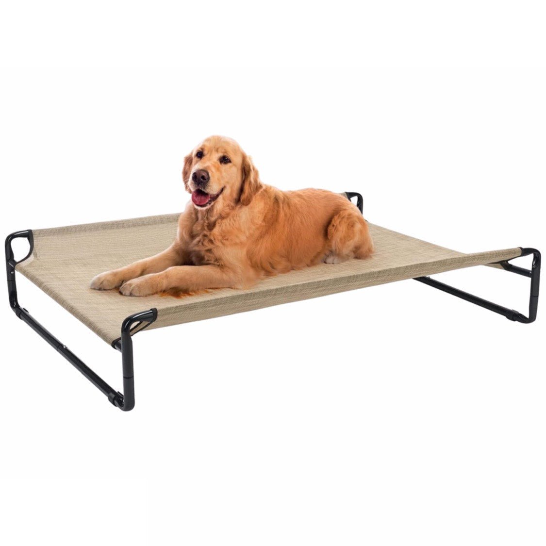 Elevated Dog Bed