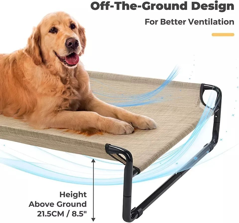 Elevated Dog Bed