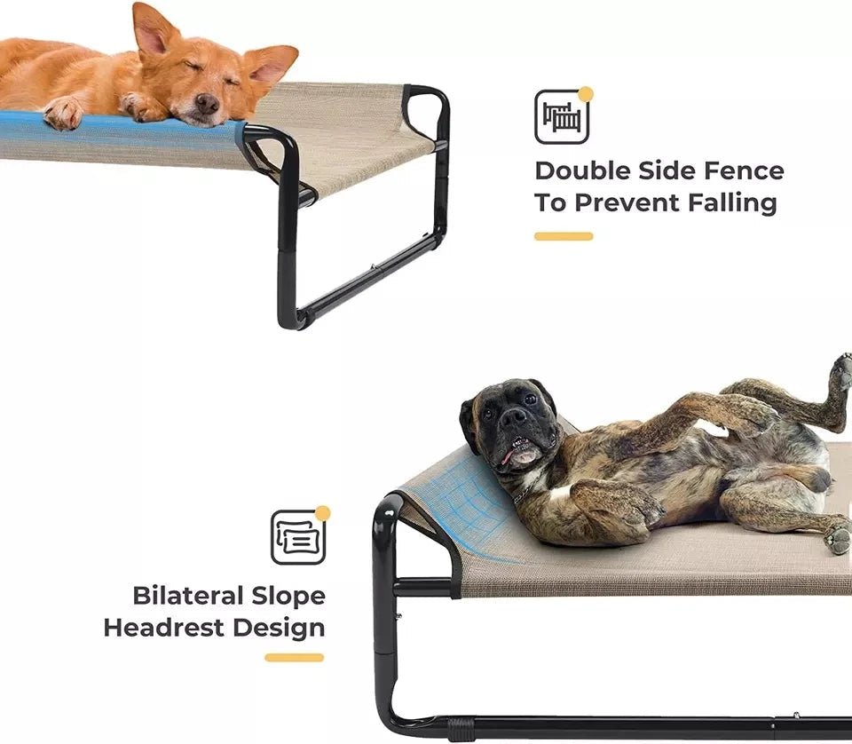 Elevated Dog Bed