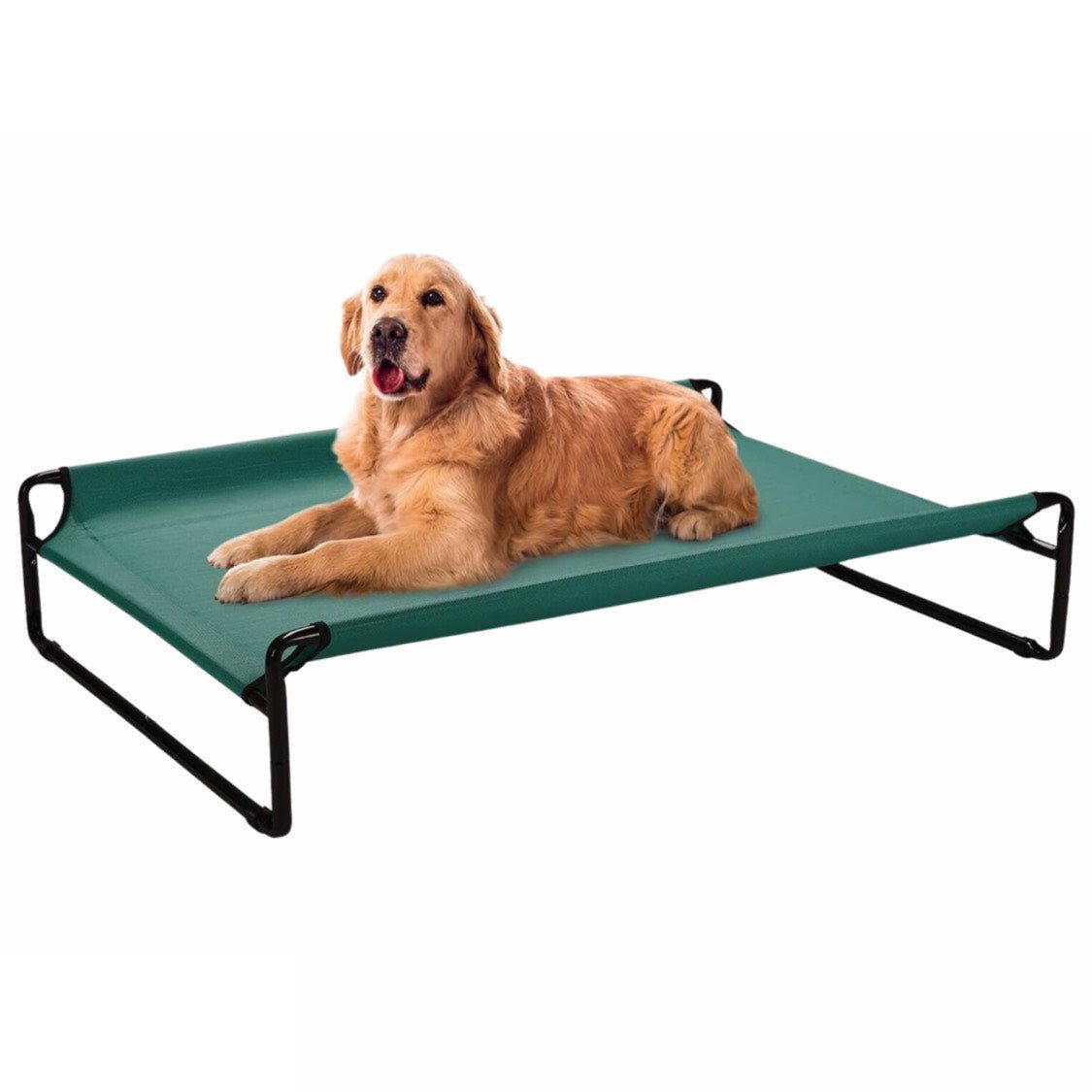 Elevated Dog Bed