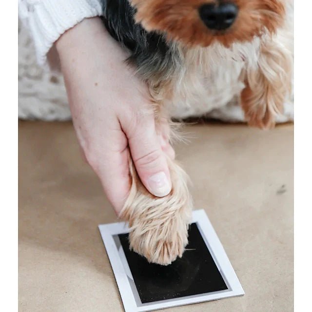 Paw Print Stamp Pad